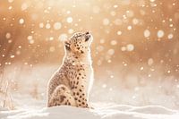 Léopard des neiges au soleil d'hiver