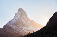 Matterhorn in der Schweiz von Werner Dieterich Miniaturansicht
