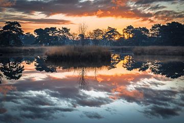 réflexion au lever du soleil sur Jan Linskens