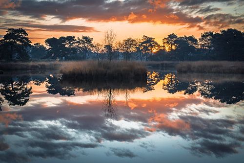 zonsopkomst reflectie