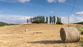 Boerenland in de buurt van Larroque Frankrijk sur Harry Kors