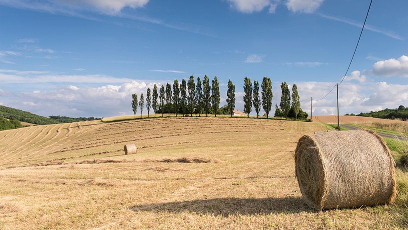 Boerenland in de buurt van Larroque Frankrijk von Harry Kors