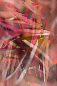 Femme naturelle sur Marjacqart