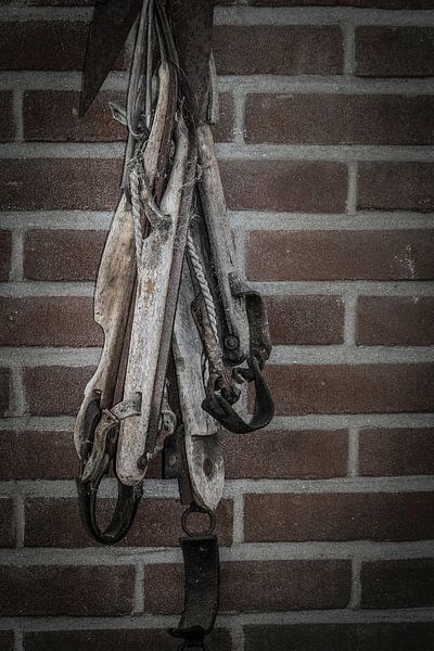 Houtjes by Freddy Hoevers