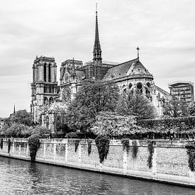 Paris Notre Dame von Jurgen Hermse