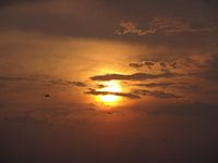 "Sun"