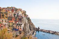 Cinque Terre, Italy by Michelle Rook thumbnail