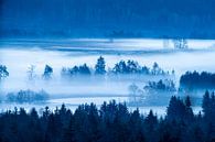 Mist in de vallei van Stephan Zaun thumbnail