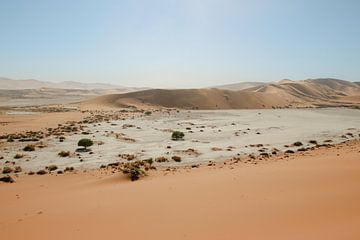 Gouden woestijn / Sossusvlei in Namibië / Reisfotografie van Anke Sol