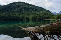 Meer in de Alpen