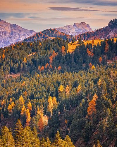 Automne sur le Passo delle Erbe