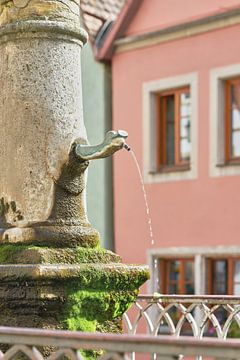 de historische fontein Röderbrunnen in Rothenburg ob der Tauber van Heiko Kueverling