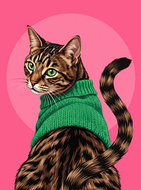 Paws & Pullovers - the Bengal