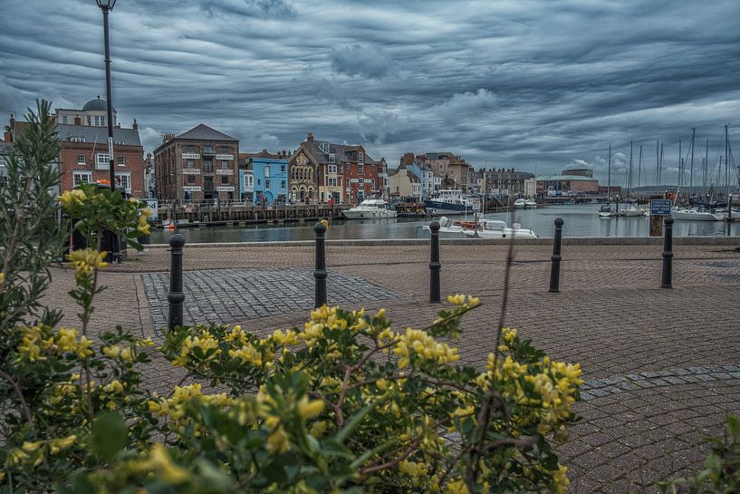 Weymouth Quay - Dorset - Angleterre par Robert Szczotka