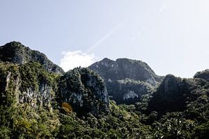 Felsen in El Nido auf den Philippinen