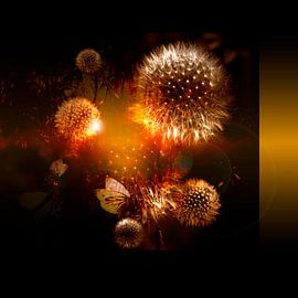 HEURES D'OR sur Ted van den Aarssen