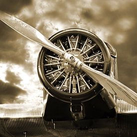 The radial engine -vintage- by Ingo Laue