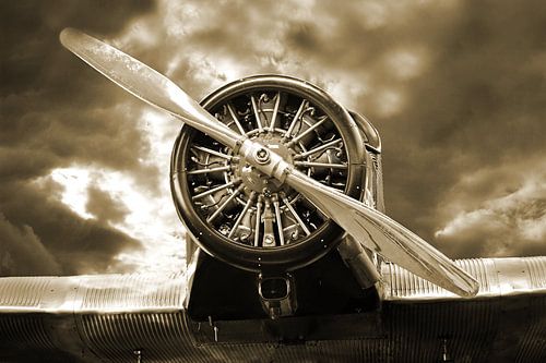 The radial engine -vintage-
