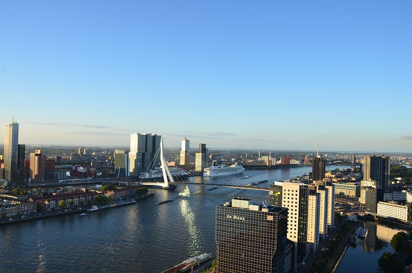 MS Rotterdam aan de voet van de Rotterdam in Rotterdam by Marcel van Duinen