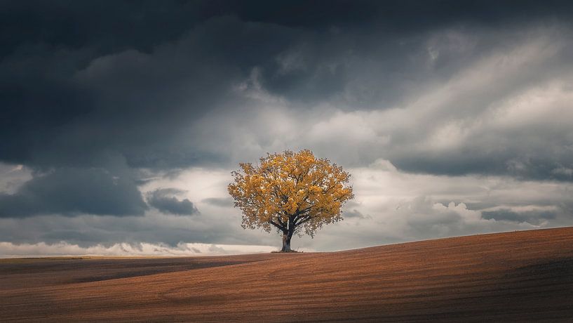 Loneliness by Thomas de Franzoni