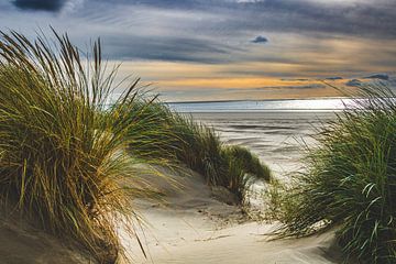 Dunes d'Ameland sur Lizanne van Spanje