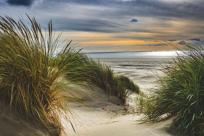 Dunes of Ameland by Lizanne van Spanje