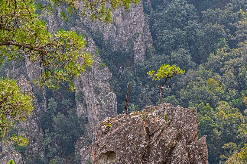 Corsica kloof van Thomas Heitz