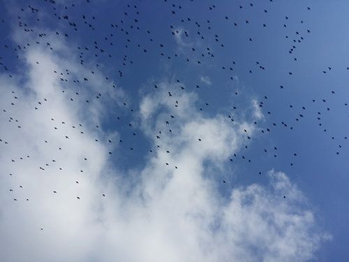 In 's blaue hinein...