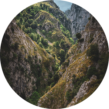 Asturias Canyon in de Picos de Europa van Jean Claude Castor