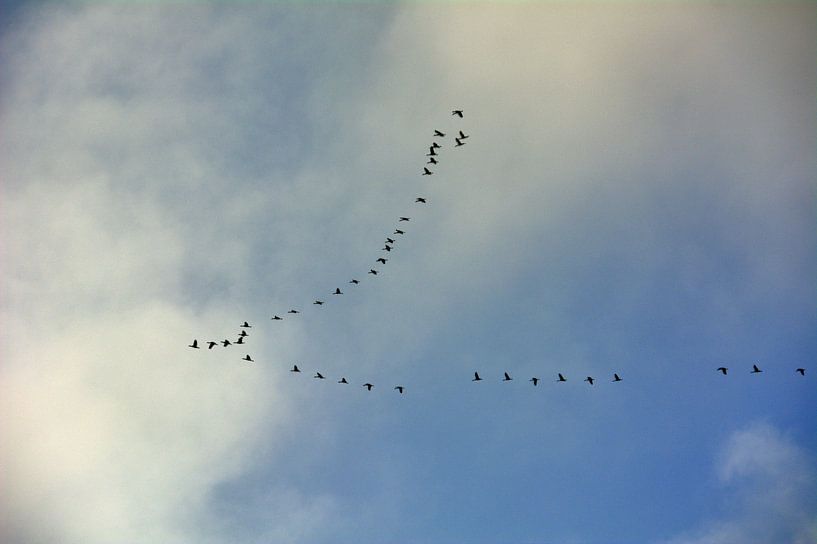 Kranen 1 van Edgar Schermaul