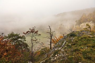 Vue du Stiegelesfelsen près de Fridingen sur la vallée brumeuse du Danube - Parc naturel du Haut-Danube sur BlattArt - Christine Horn