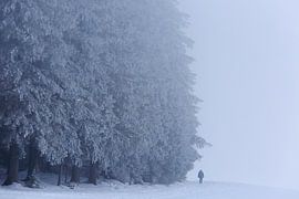 Schneemann im Schwarzwald von Patrick Lohmüller