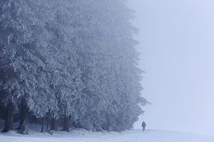 Schneemann im Schwarzwald