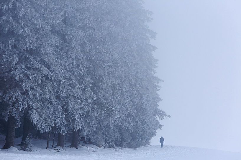 Schneemann im Schwarzwald von Patrick Lohmüller