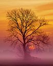 Goldener Sonnenaufgang von Halma Fotografie Miniaturansicht