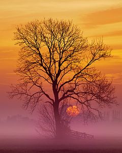 Goldener Sonnenaufgang von Halma Fotografie