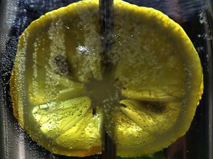 Im Wasserglas - Zitronenscheibe