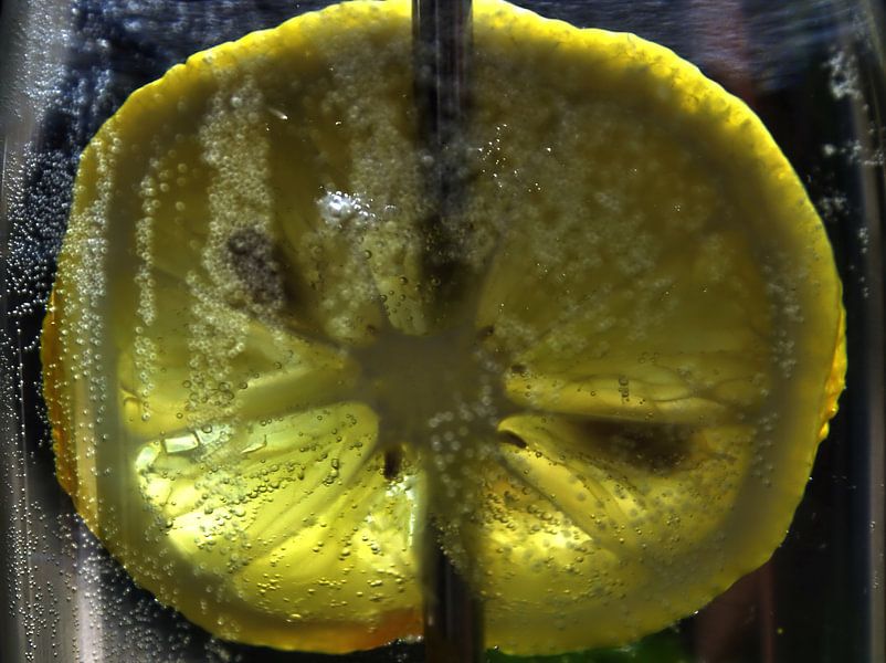 Im Wasserglas - Zitronenscheibe von Christine Nöhmeier