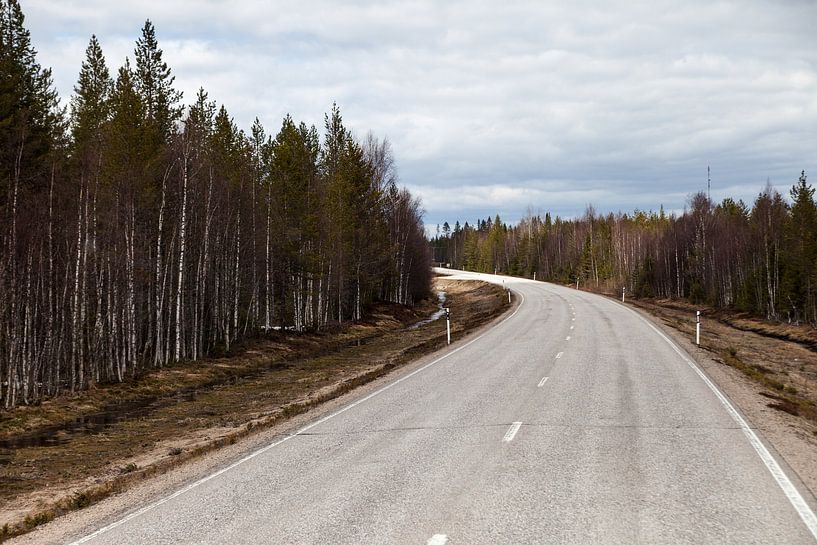Een weg door Finland van Irene Hoekstra