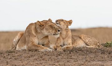 Que règnent la paix et l'amour.....