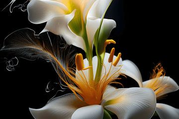 floral 2026 by Andreas Wemmje