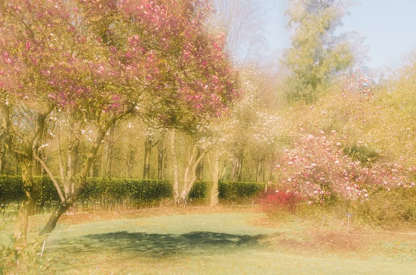 parc magnolia par Aimé de Clercq