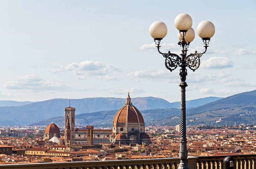 Florence skyline lantaarn van Dennis van de Water