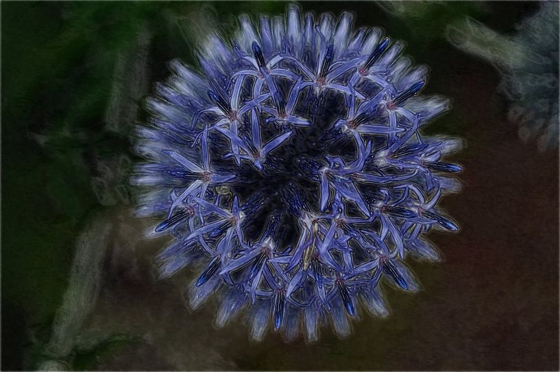 Flowers 13 by True Color Stories