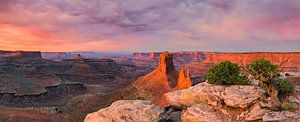 Panorama zonsopkomst bij Marlboro Point, in Canyonlands NP, Utah van Henk Meijer Photography