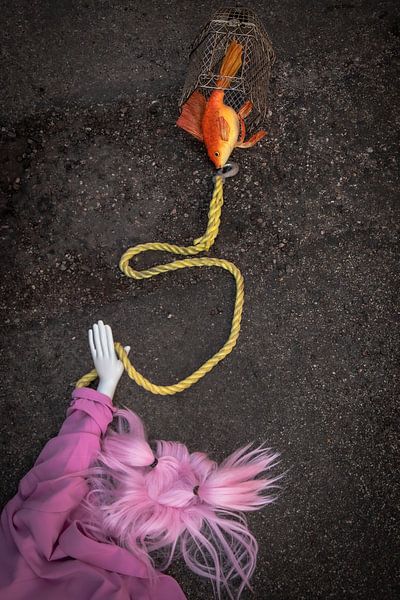 Weird bird by Lidia Vedder