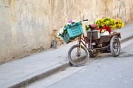 Blumenfahrrad von Imke Beijer Miniaturansicht