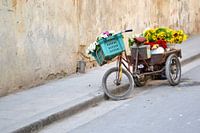Blumenfahrrad