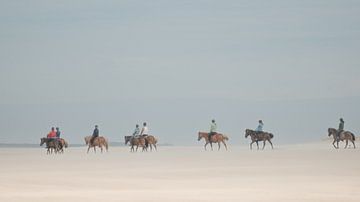 Dieren 2 van Mariëlle de Valk