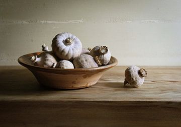 Papaverbollen in schaal